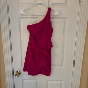 Hello Molly Fuchsia Dress